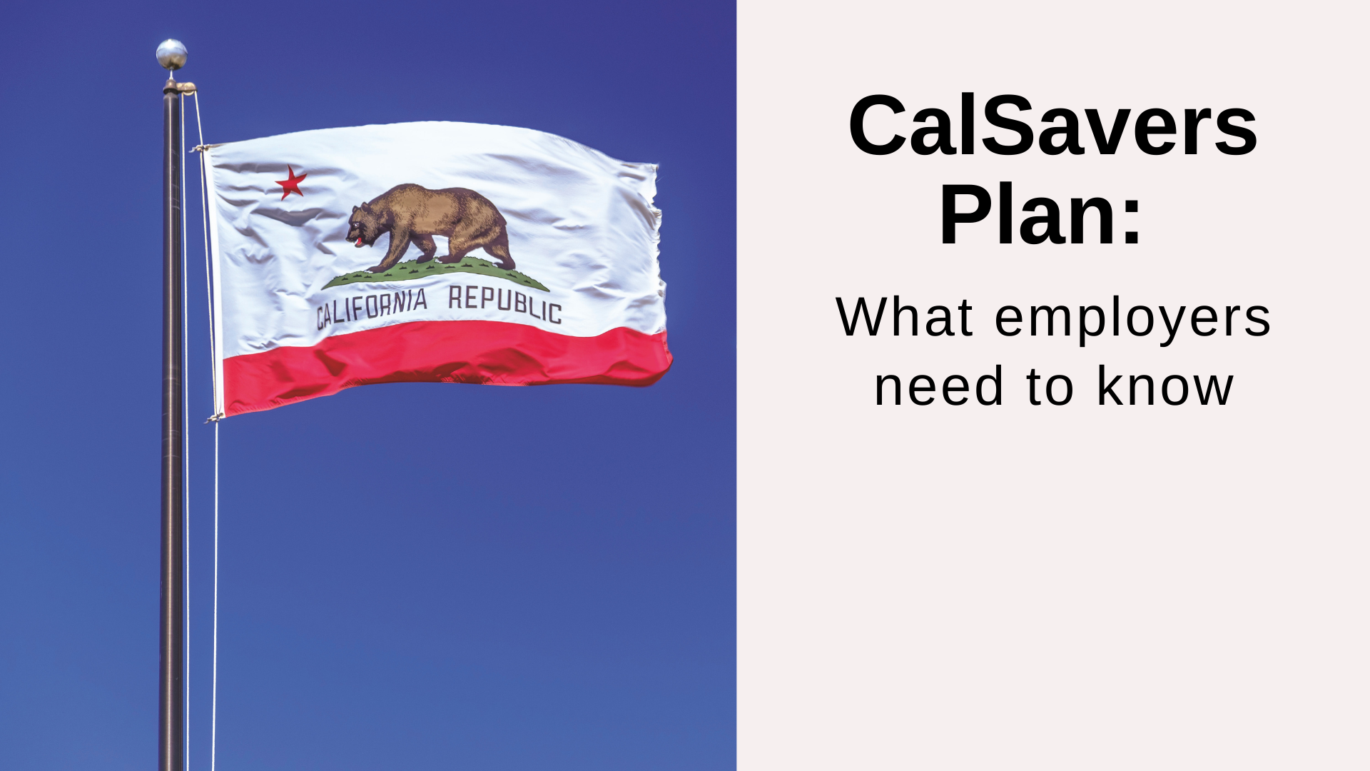 CalSavers What employers need to know True Root Financial